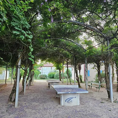 Claire Rive